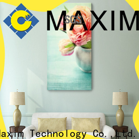 Maxim Wall Art hotel room decoration factory price for living room