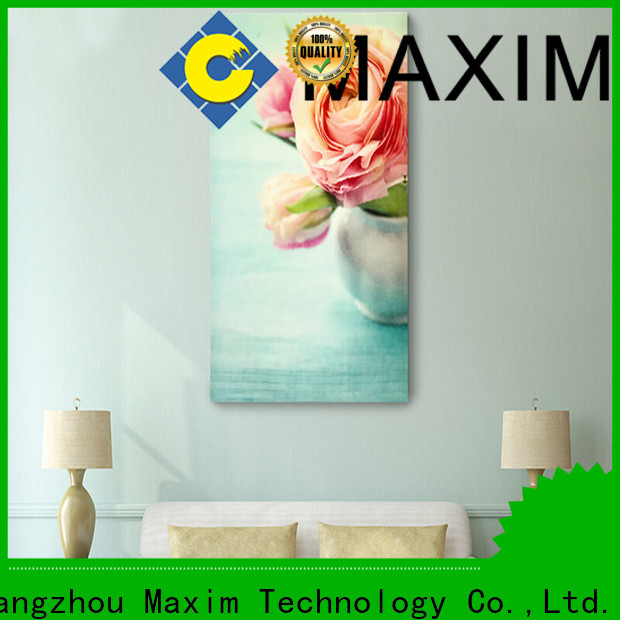 Maxim Wall Art 5 piece canvas art personalized for living room