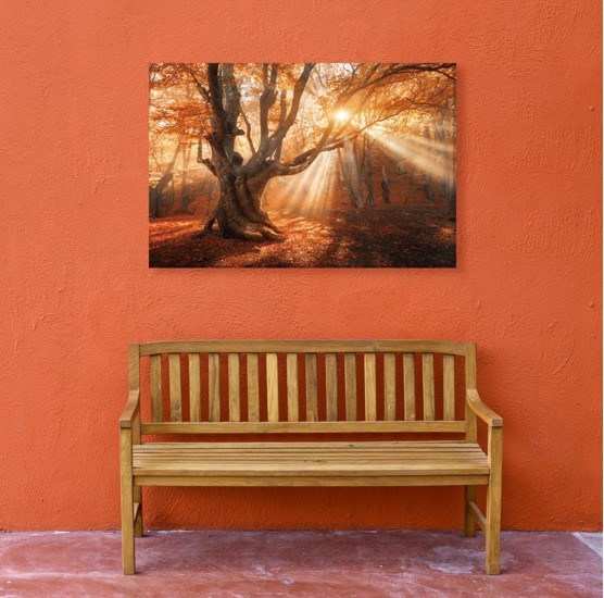 Great Idea for Garden Decor Art wall art painting for outdoor use nice gift